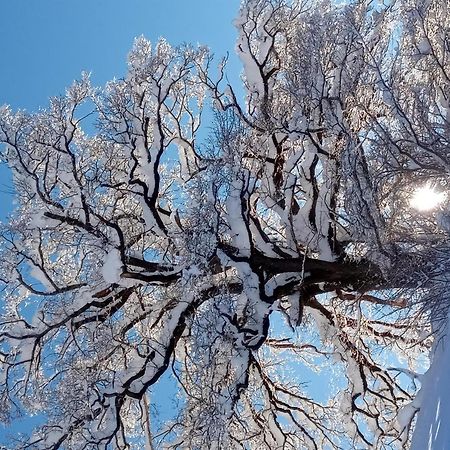 Appartement Montanea Schruns Zewnętrze zdjęcie